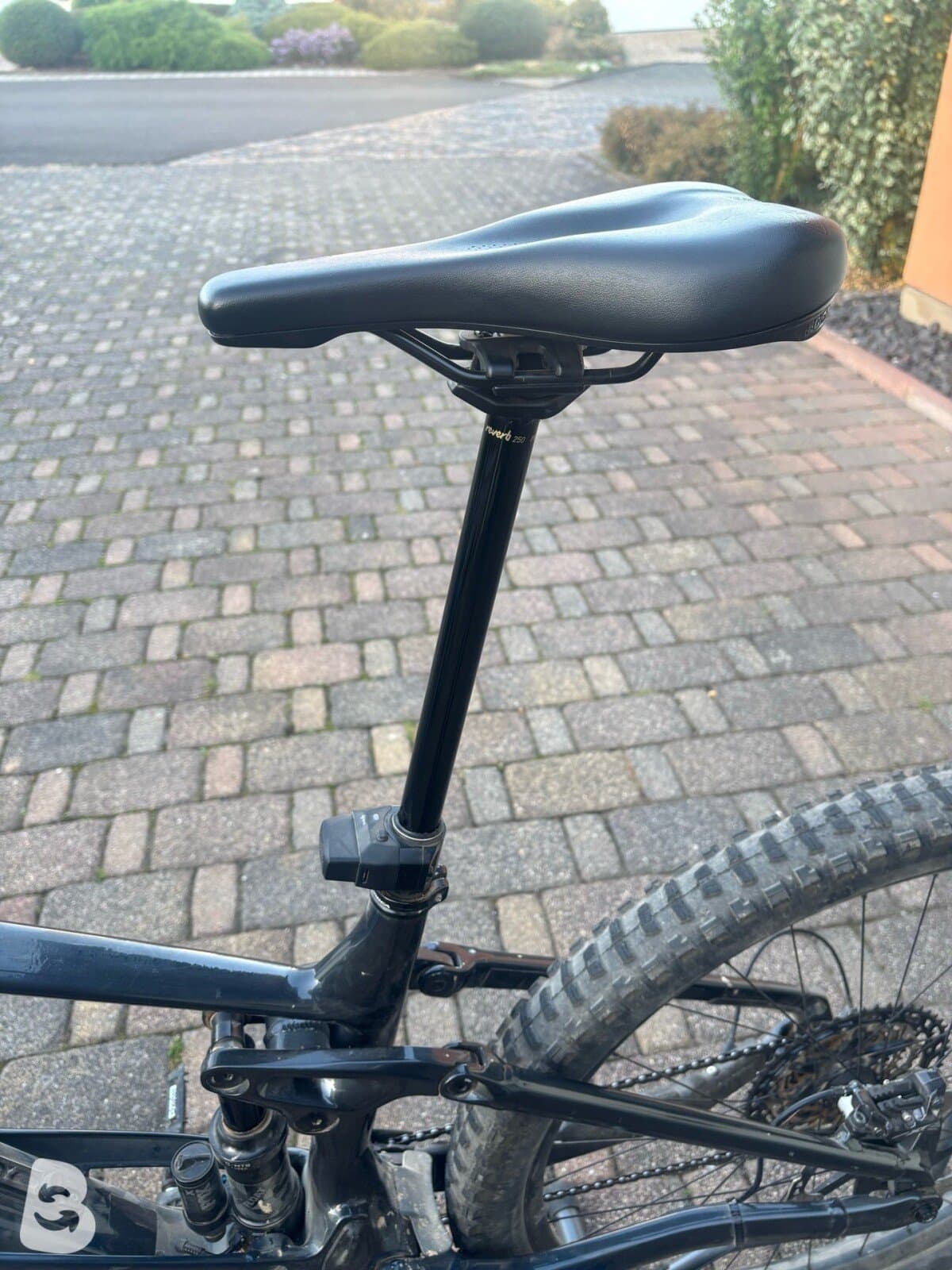 Orbea WILD H10 2024