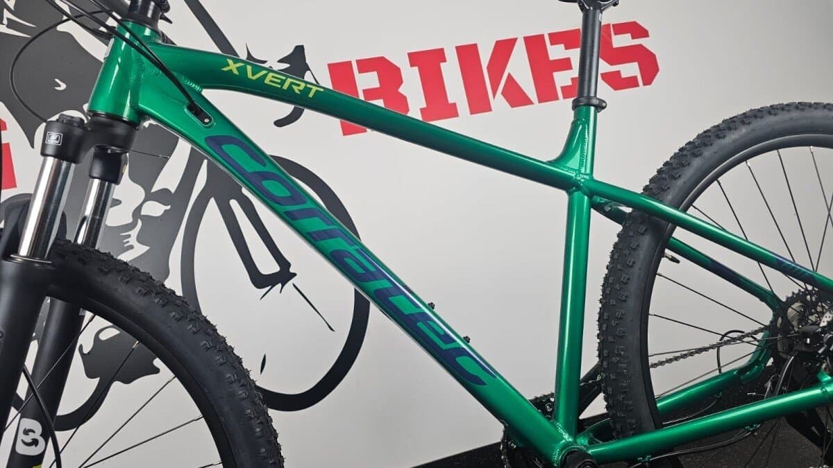 Corratec x-vert elite disc 2025