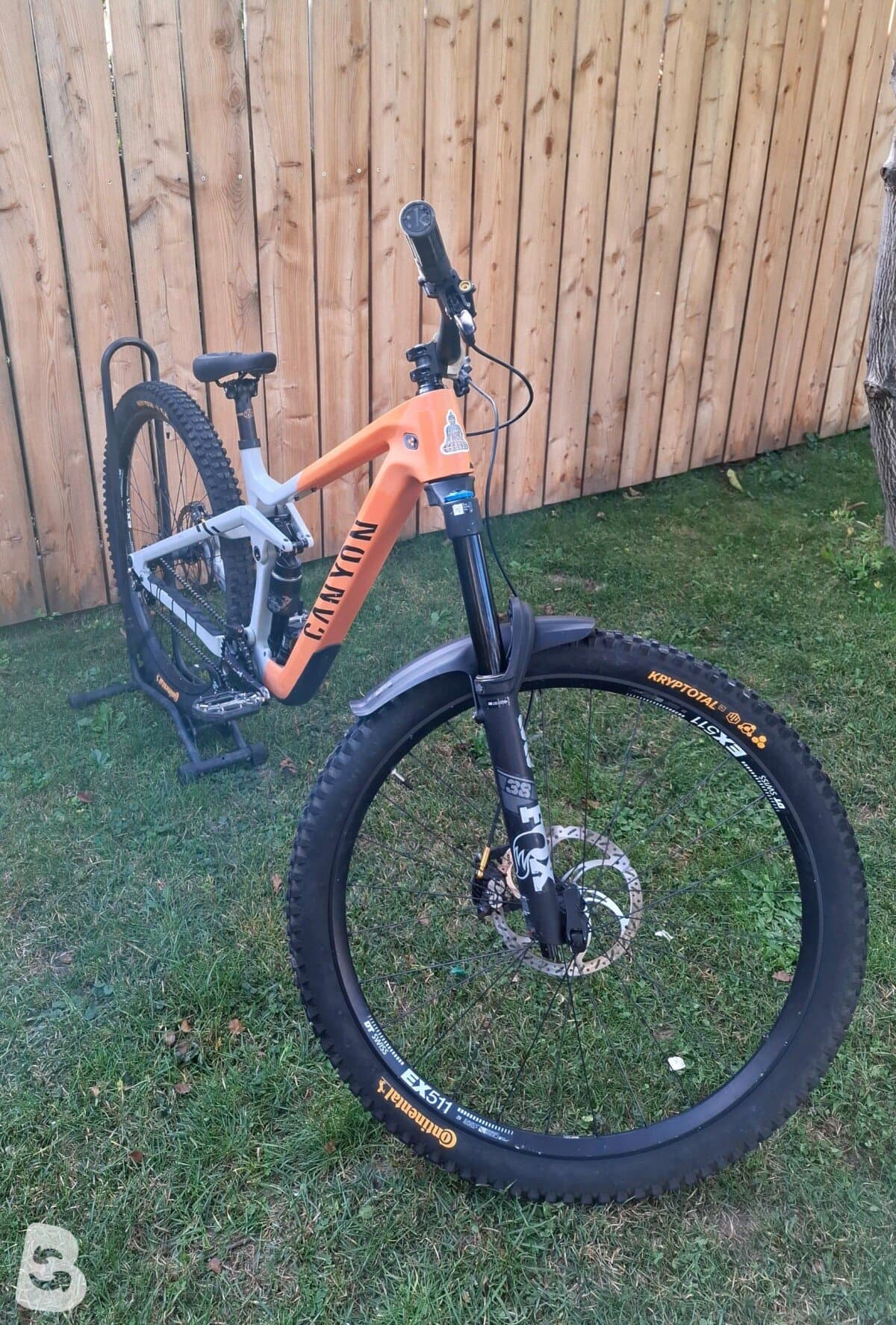 Canyon Strive CFR Underdog 2022