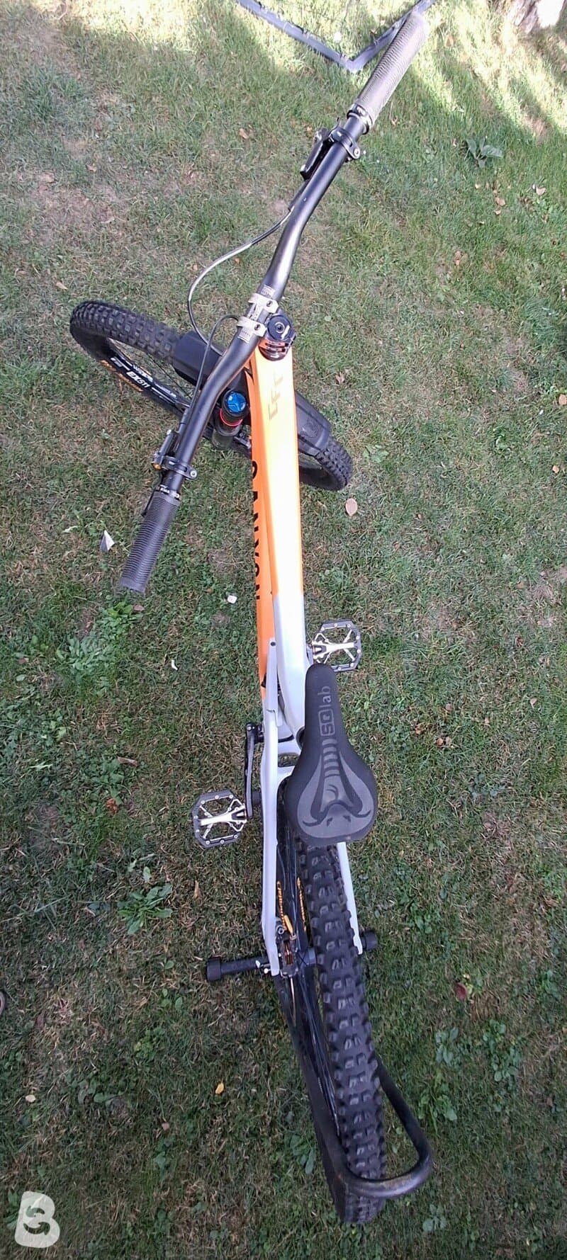 Canyon Strive CFR Underdog 2022