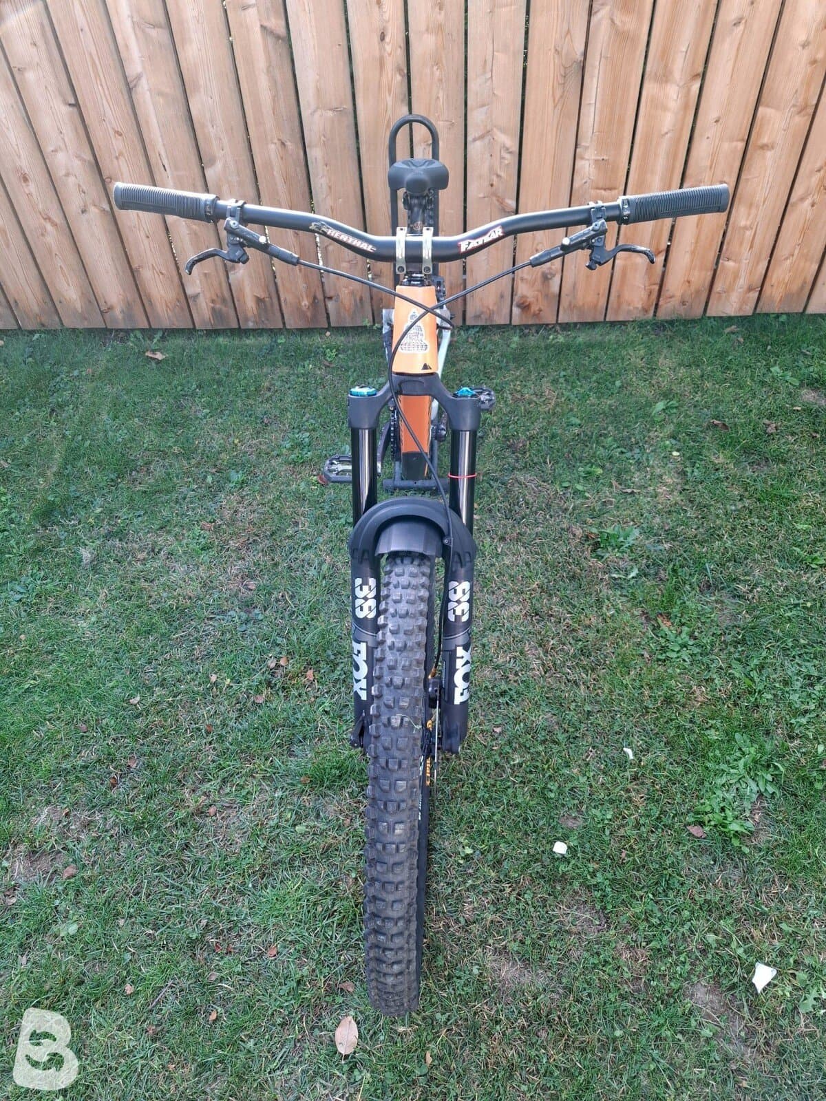 Canyon Strive CFR Underdog 2022