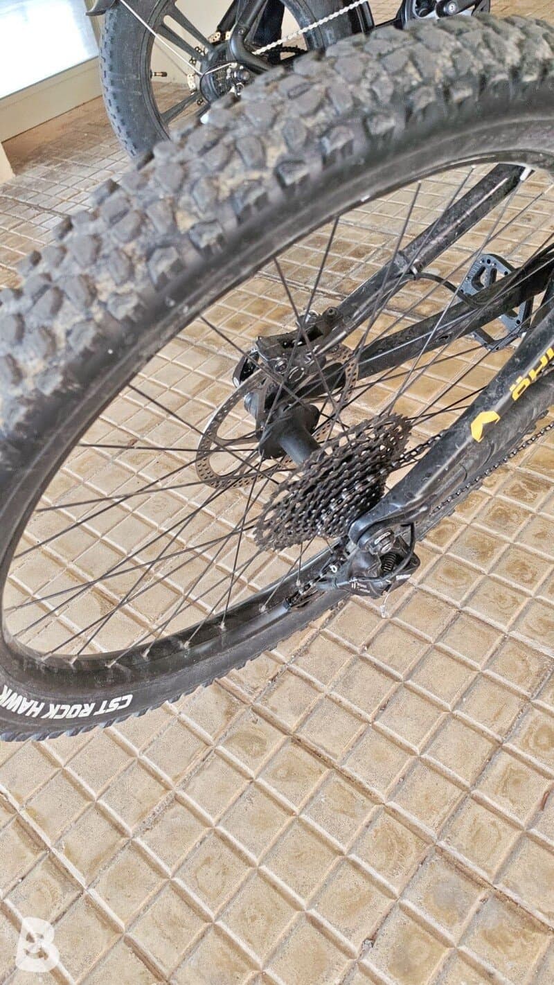 Trek Remedy 8 2019