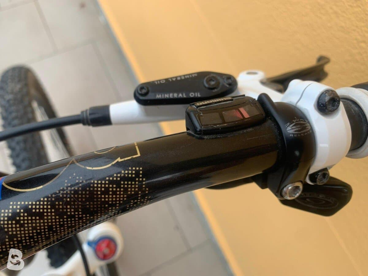 Finotti Mountain Bike 2019