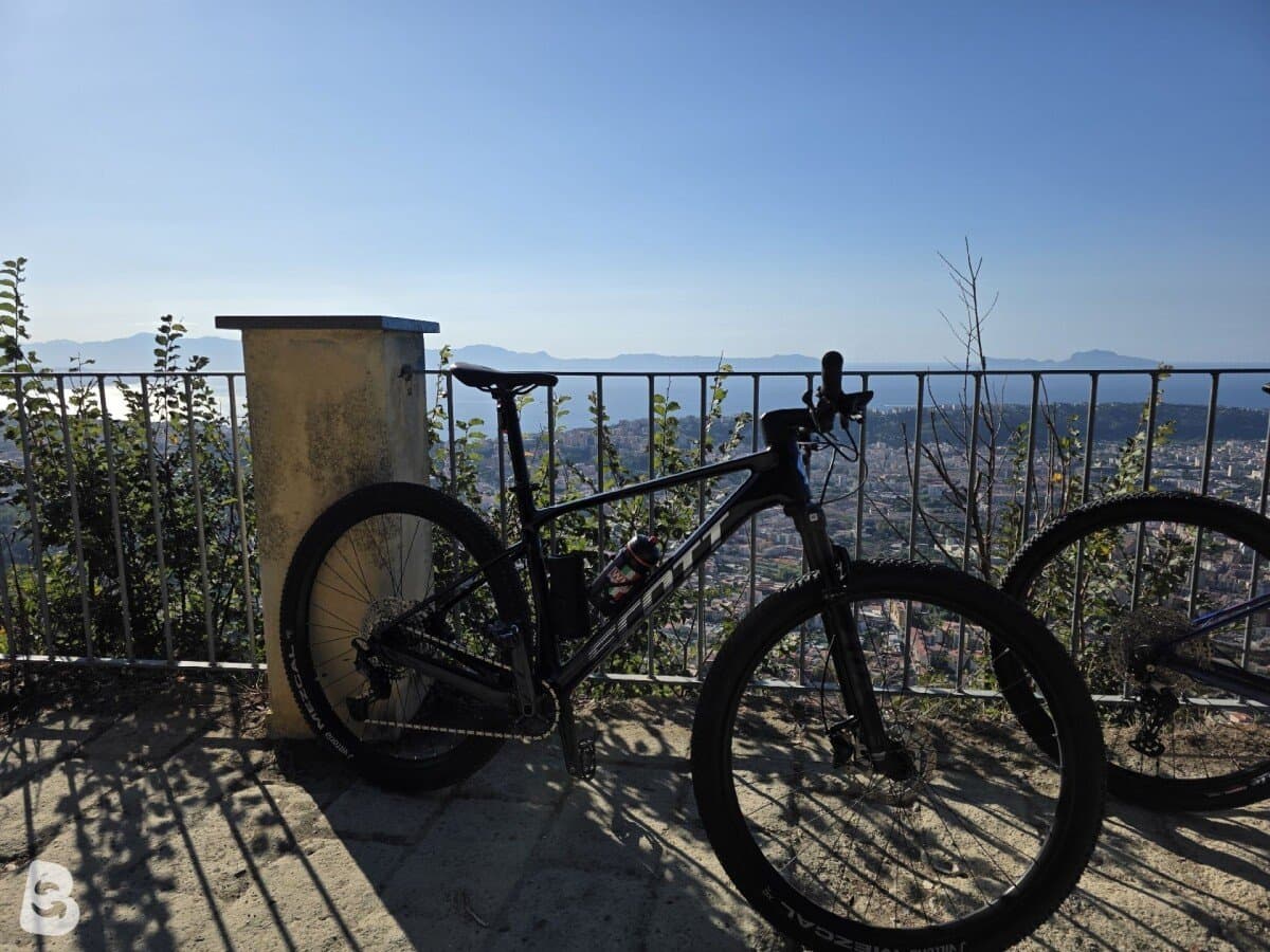 Scott Mtb Scott Scale carbon 930 2026 2026
