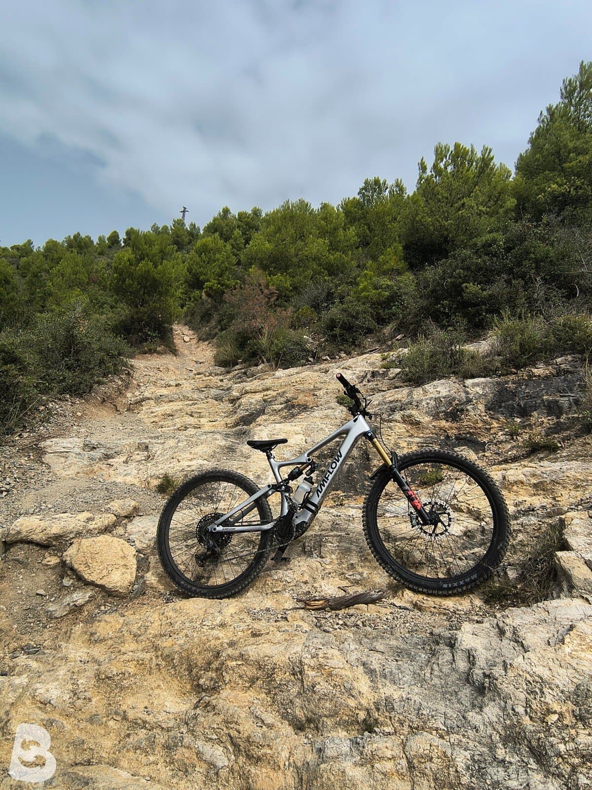 AMFLOW PL CARBON 2026