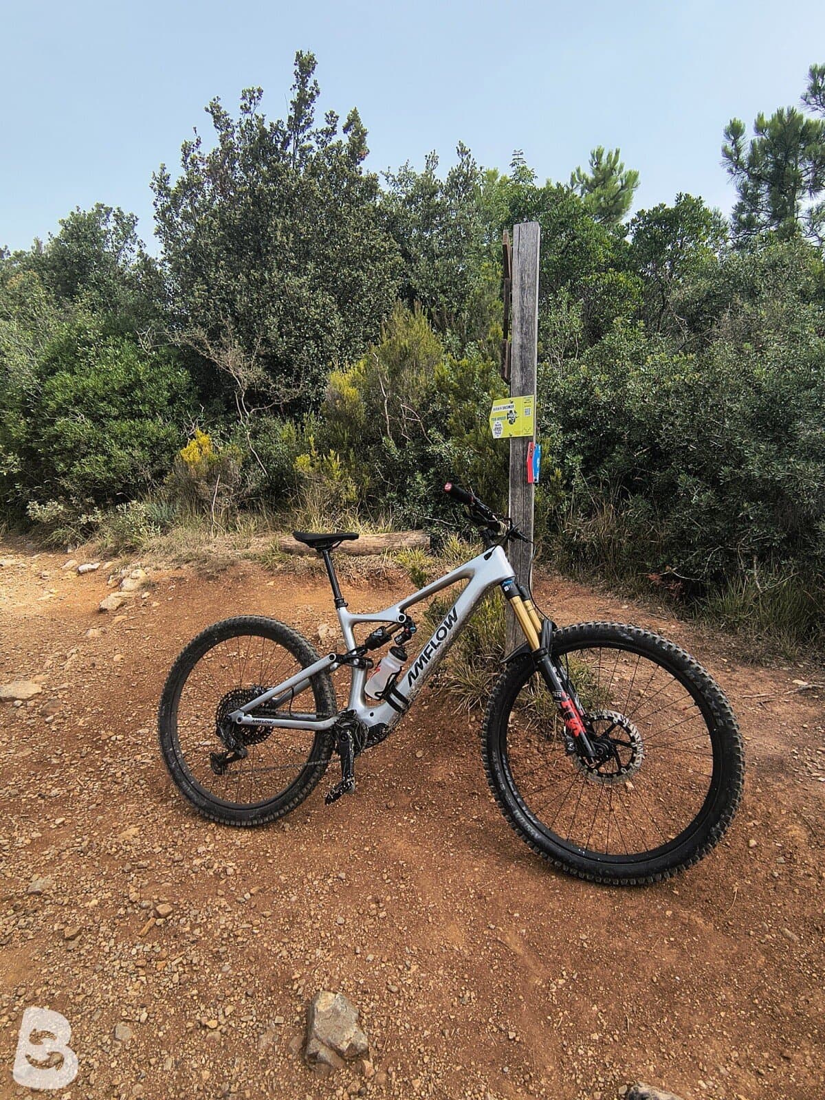 AMFLOW PL CARBON 2026