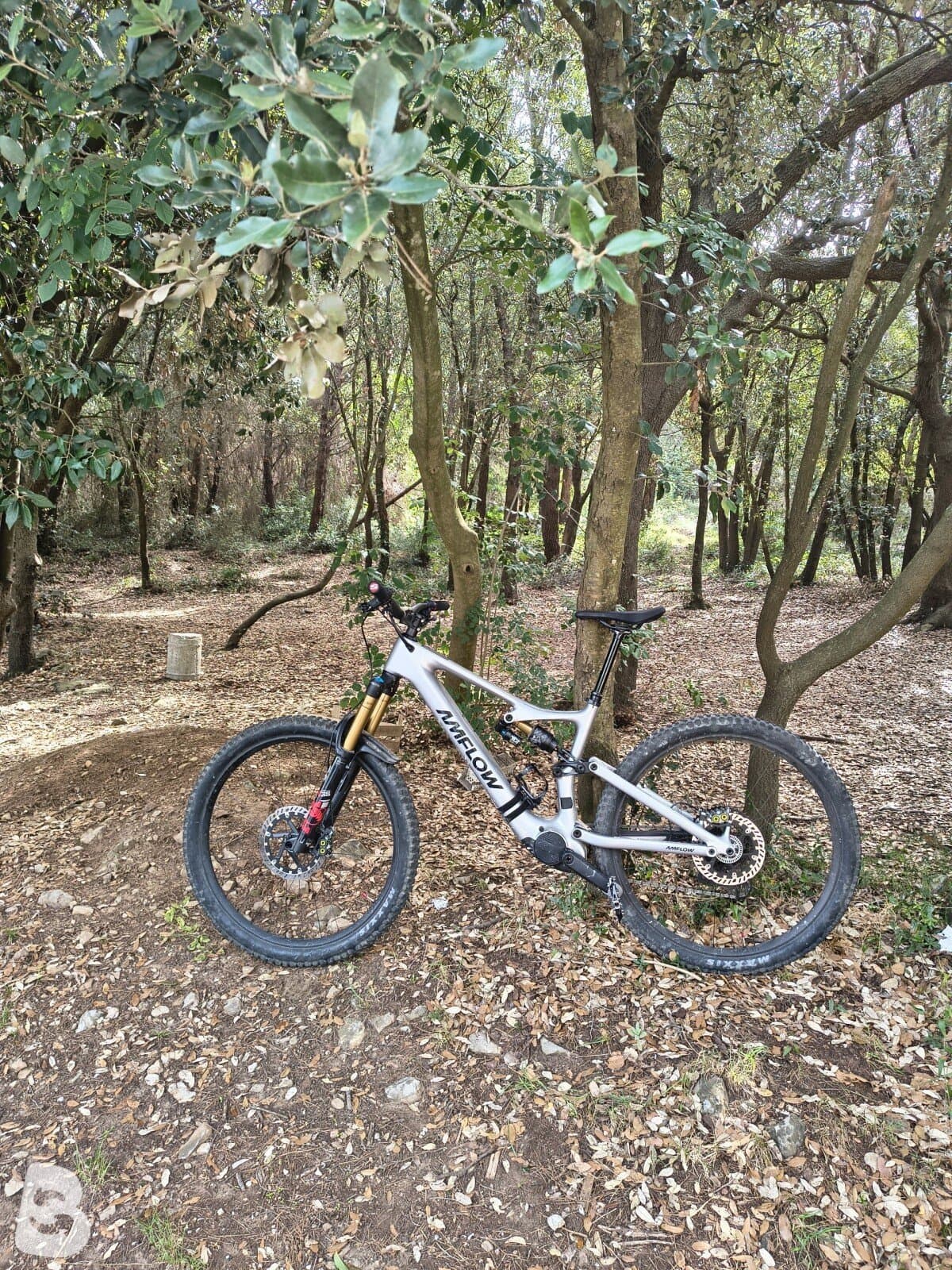 AMFLOW PL CARBON 2026