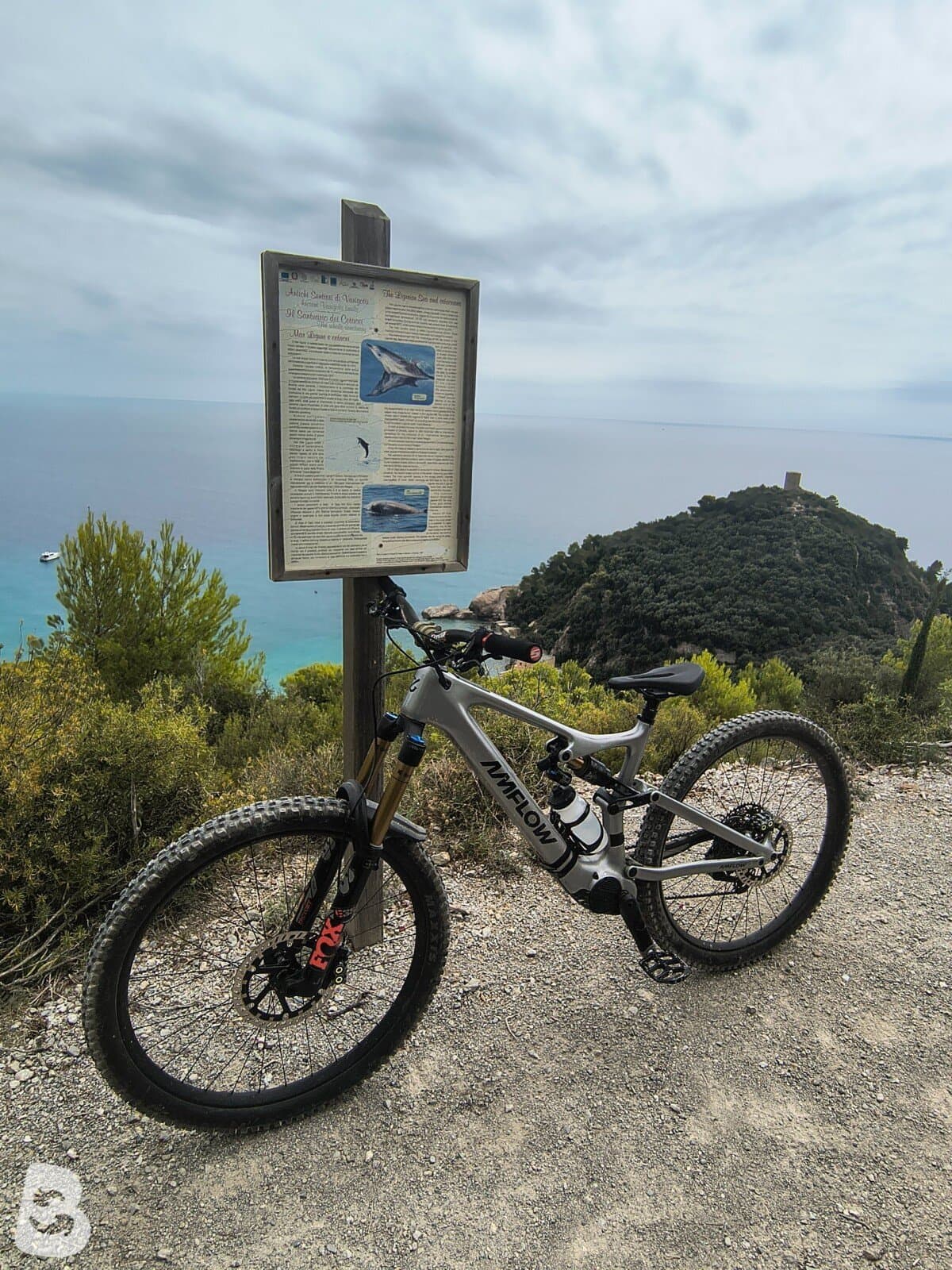 AMFLOW PL CARBON 2026