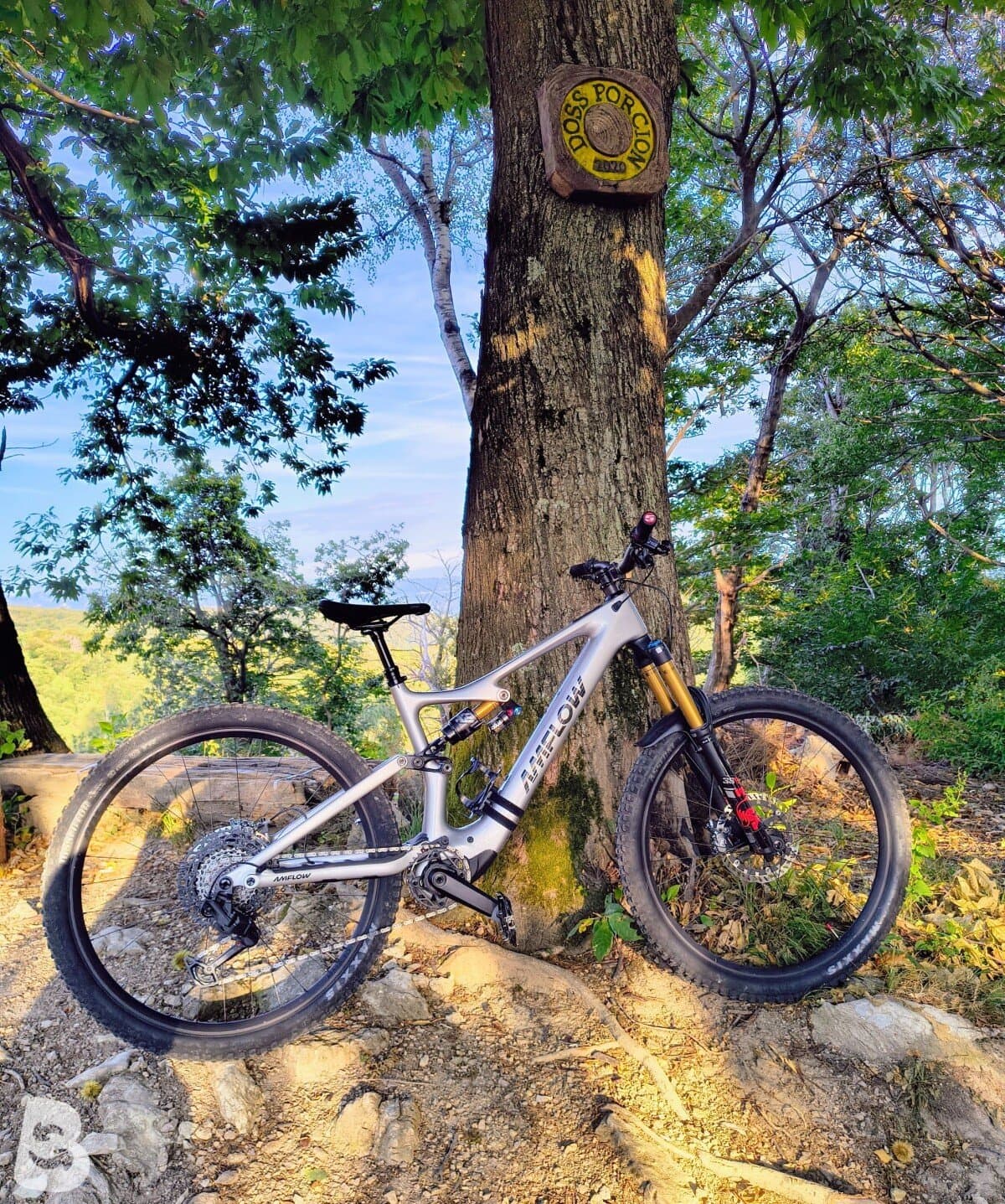 AMFLOW PL CARBON 2026