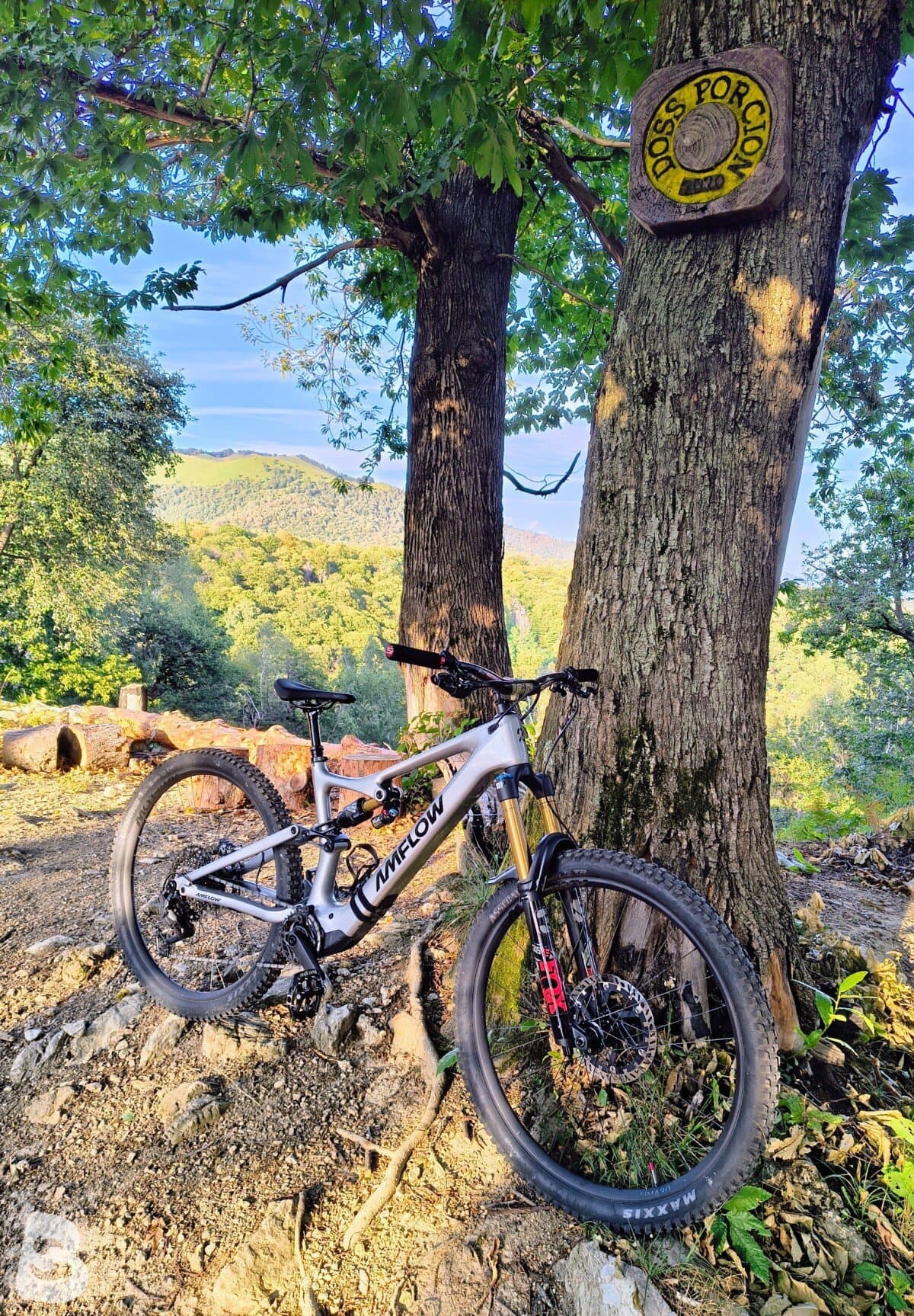 AMFLOW PL CARBON 2026