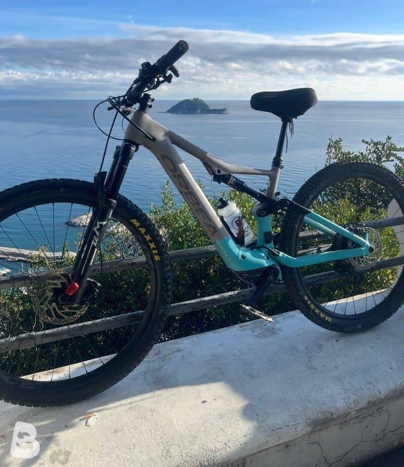 Orbea RISE H30 2024