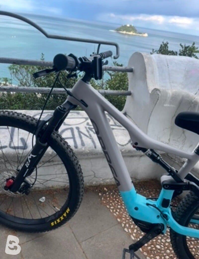 Orbea RISE H30 2024