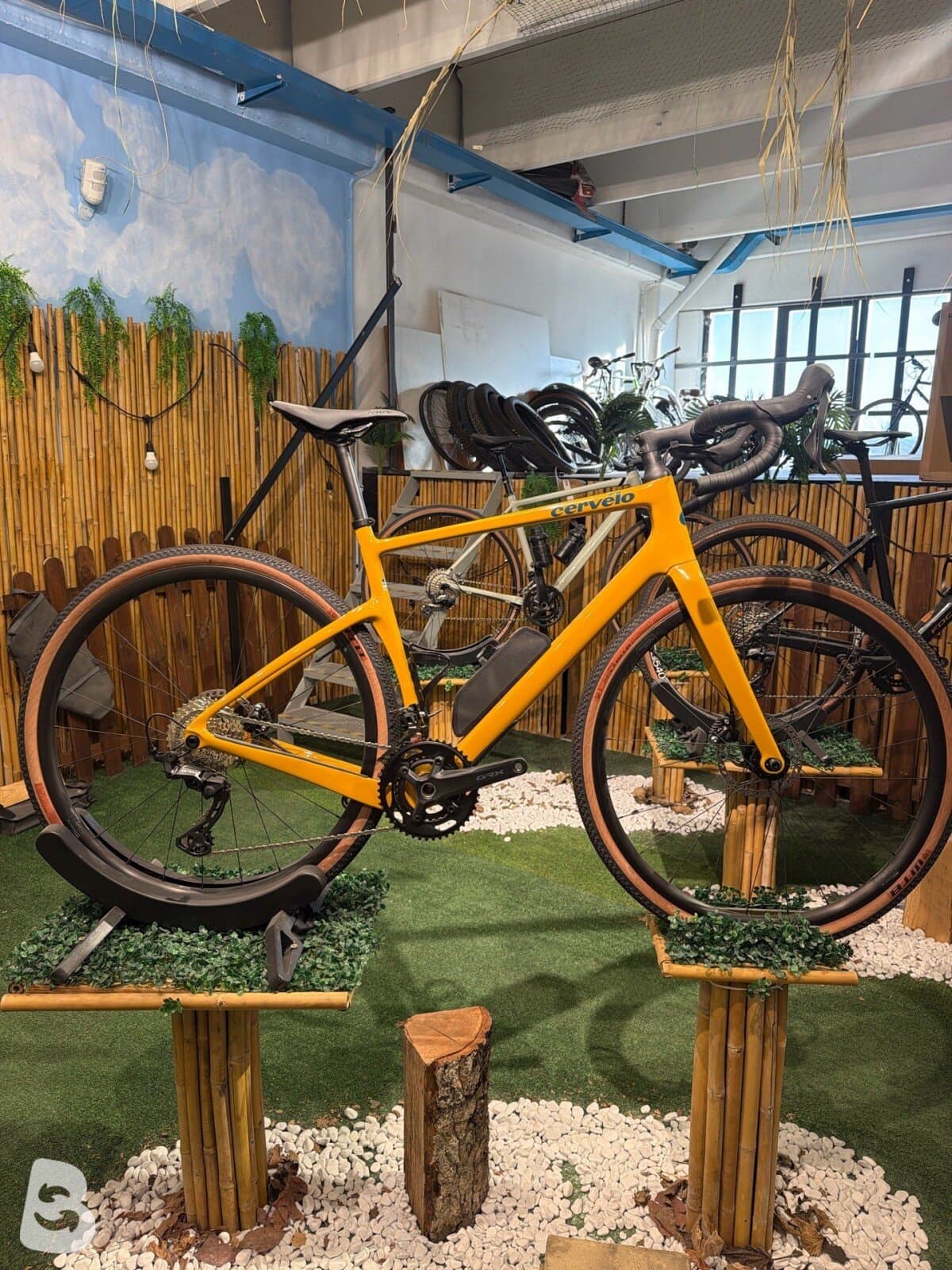 Cervelo Aspero 2025