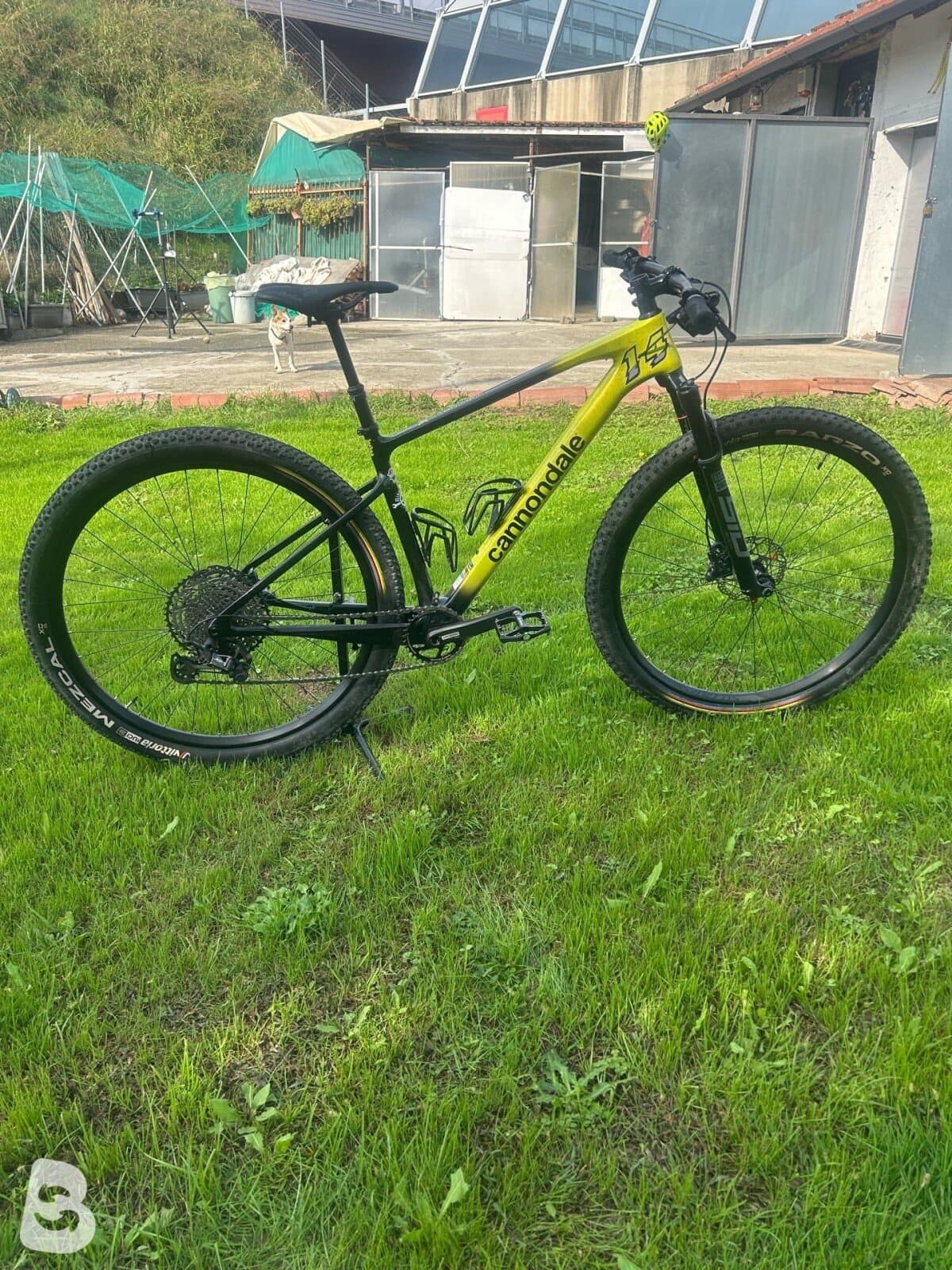 Cannondale Scalpel Ht Carbon 3 2024 2024