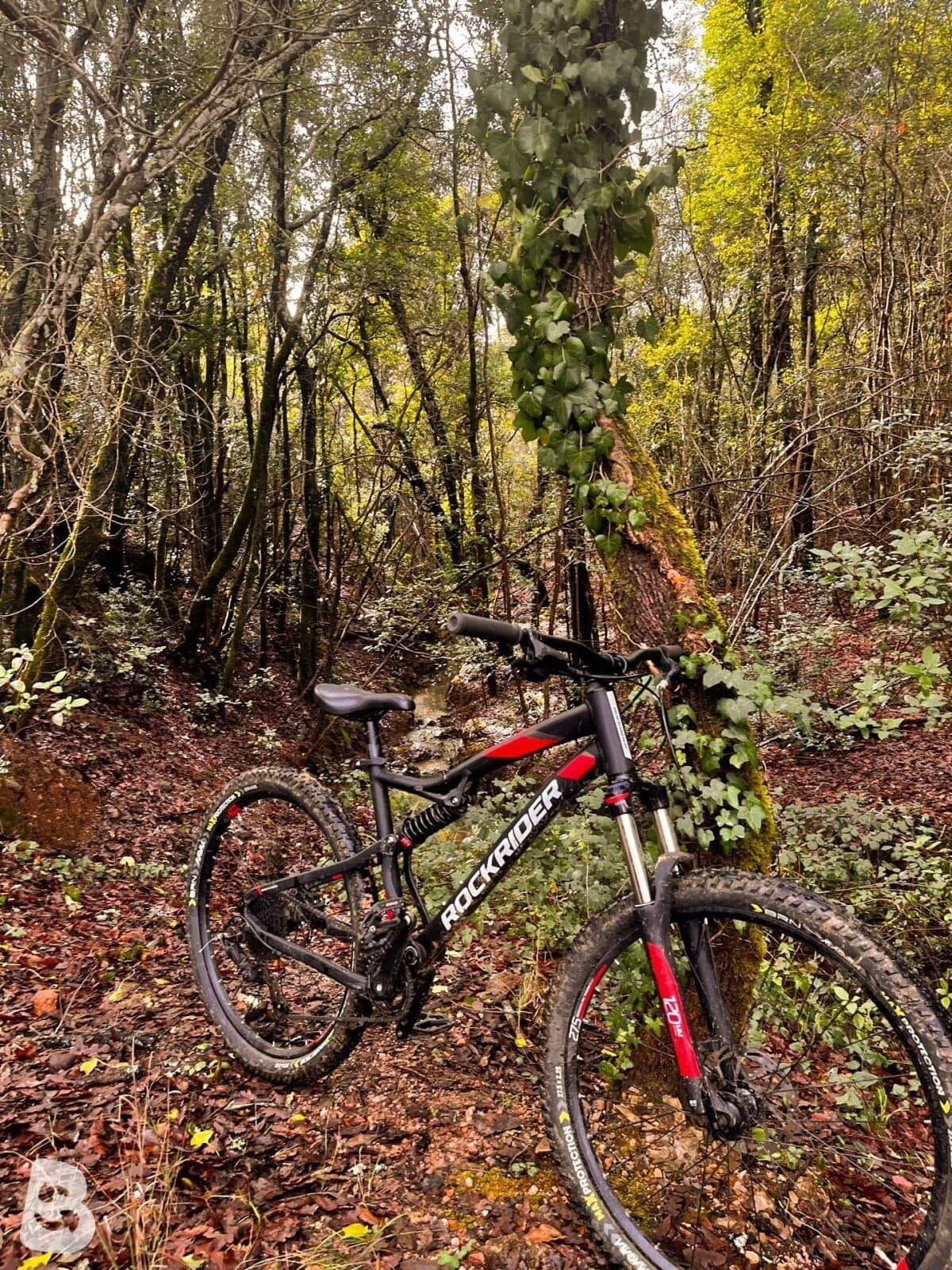 Rockrider 27.5 Inch MOUNTAIN BIKE FULL SUSPENSION ST 530 2023
