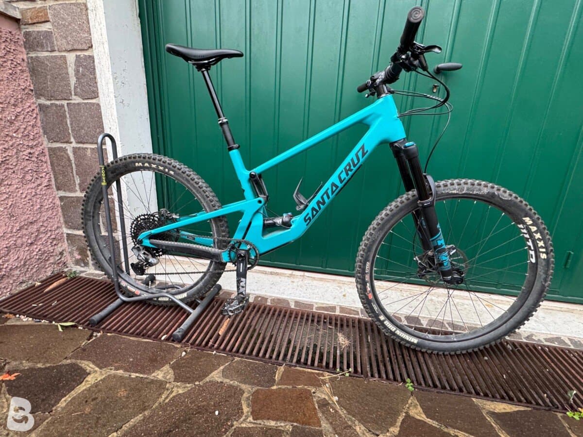 Santa Cruz 5010 CR Loosely Blue 27 LG 2021