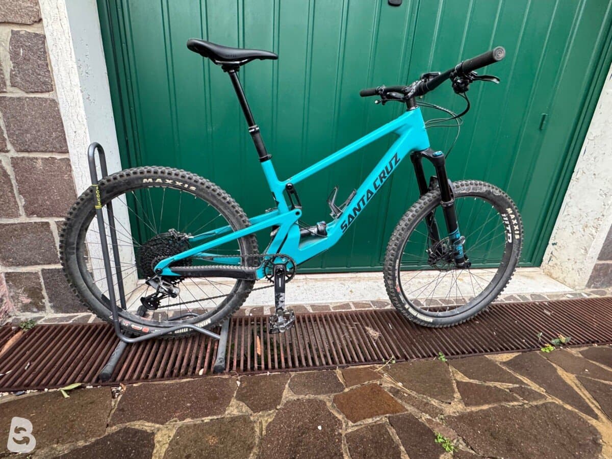 Santa Cruz 5010 CR Loosely Blue 27 LG 2021