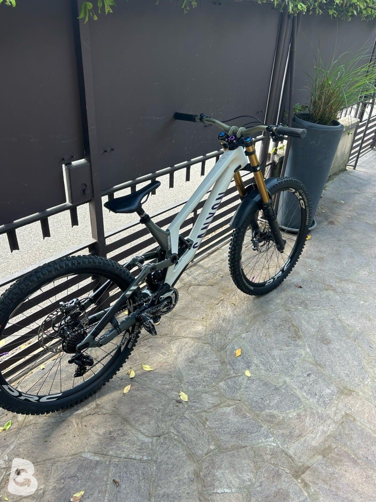 Canyon Sender CFR 2021