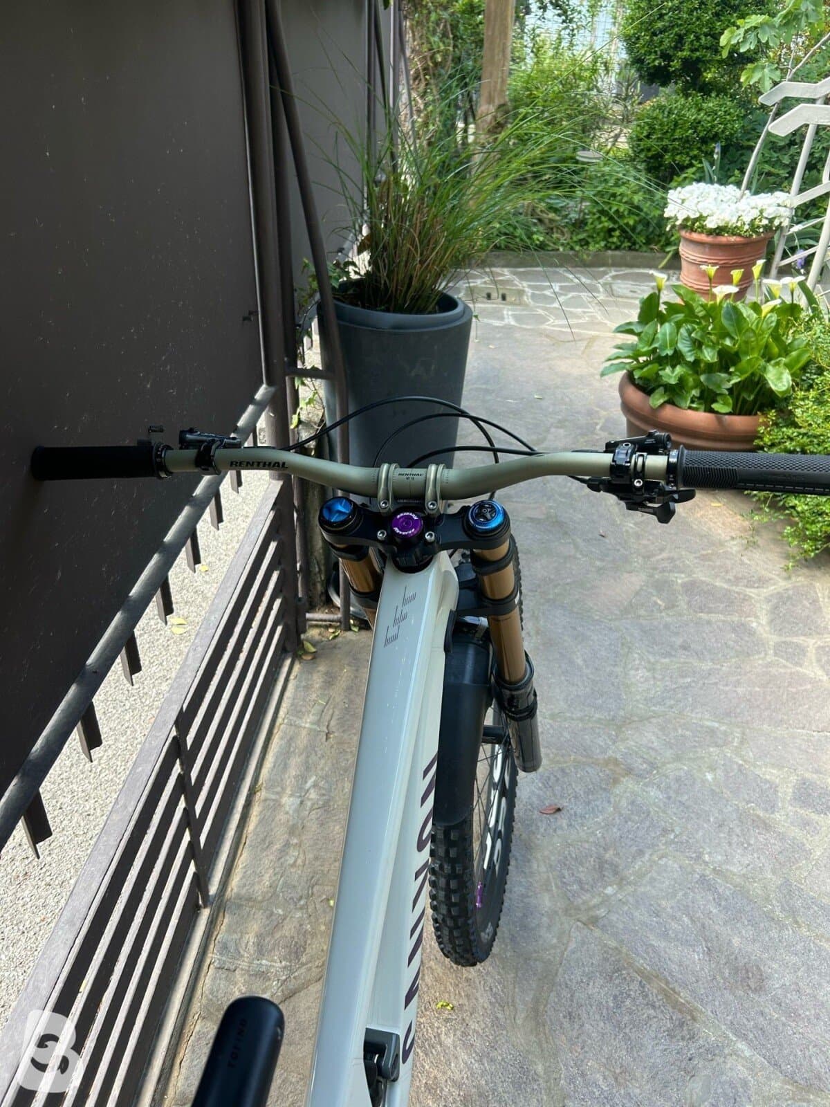 Canyon Sender CFR 2021