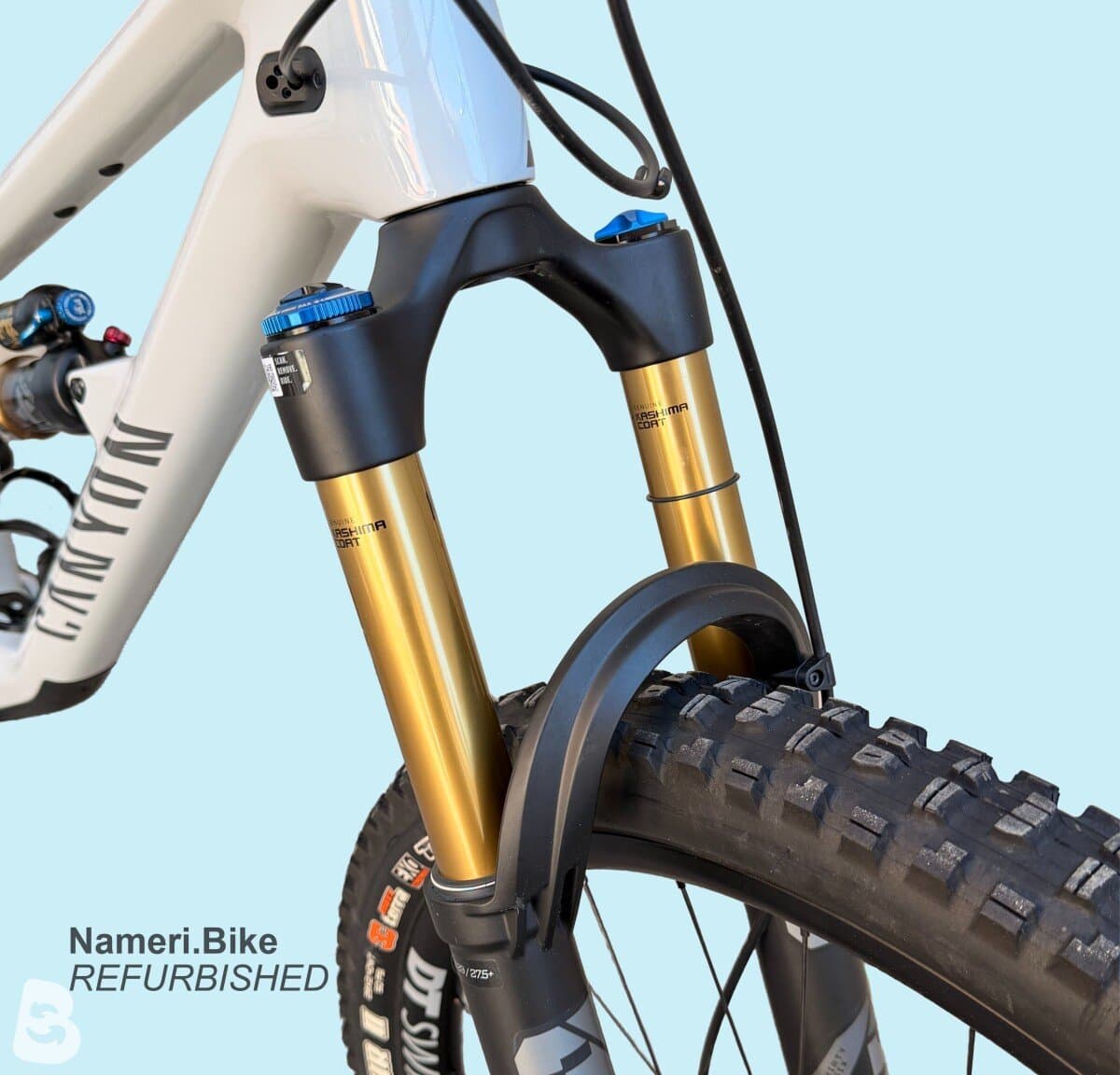 Canyon Spectral 125 CF 9 2023