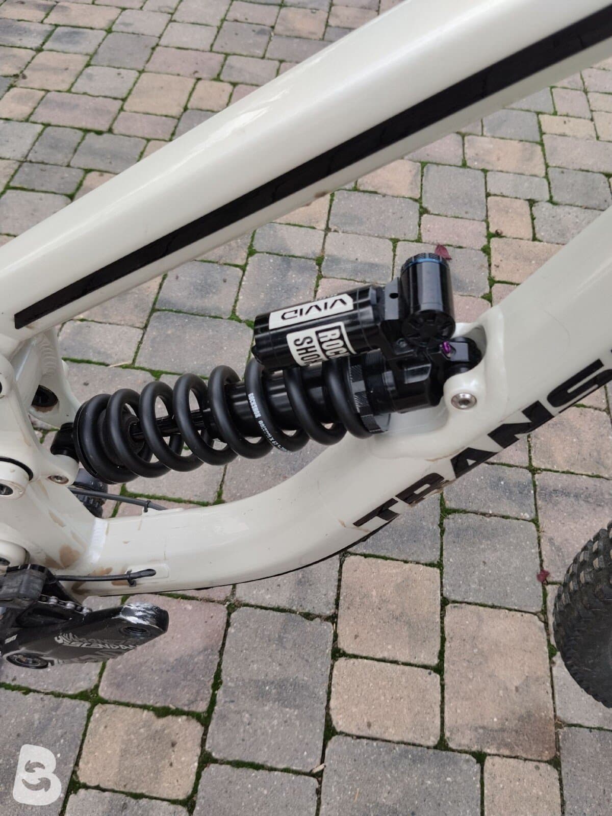 Transition TR11 GX Alloy 2025