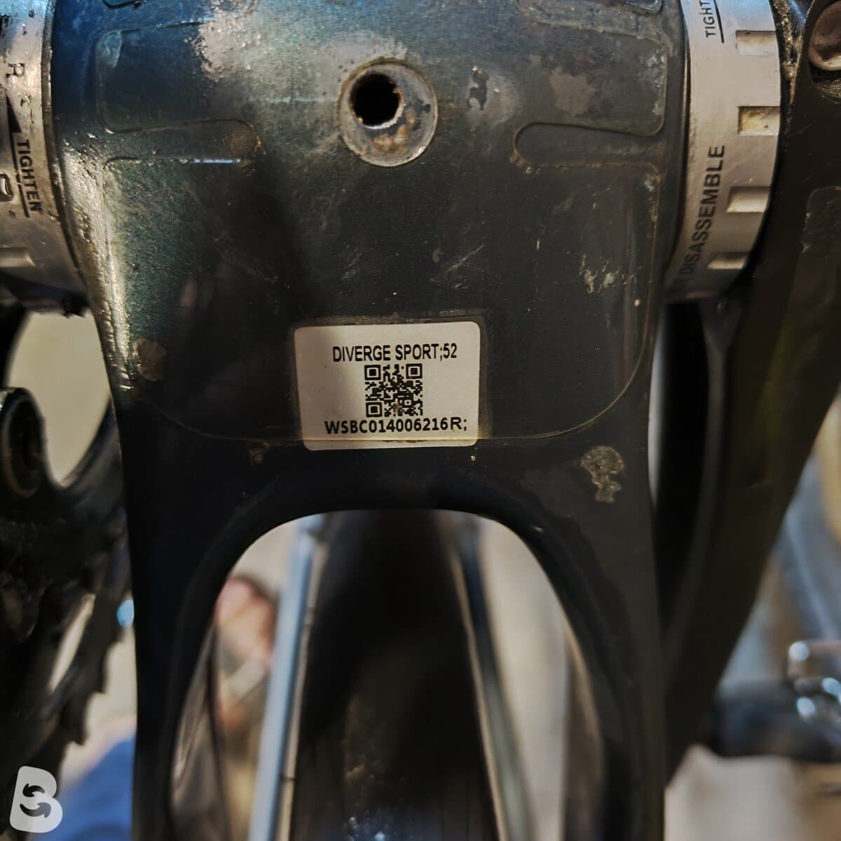 Specialized Diverge Sport Carbon 2021