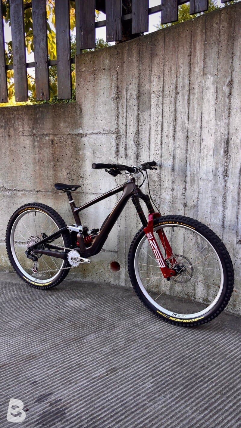 Specialized Enduro custom 2022