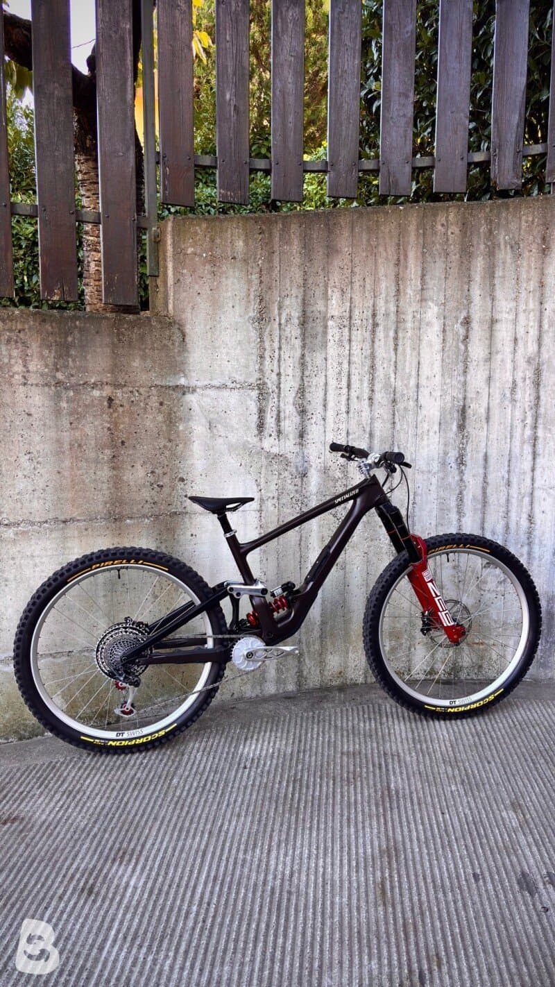 Specialized Enduro custom 2022