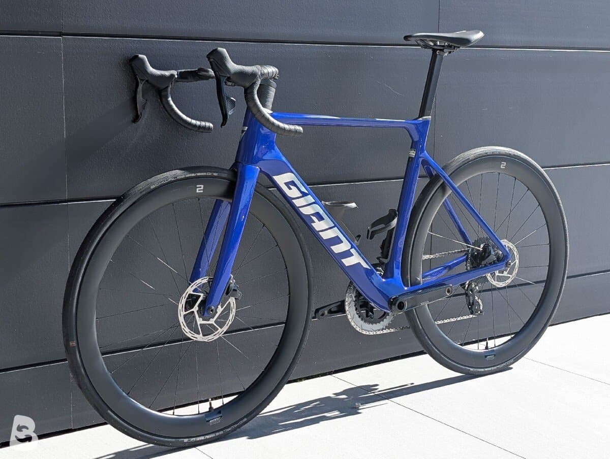 Giant Propel, Advanced 1 2024