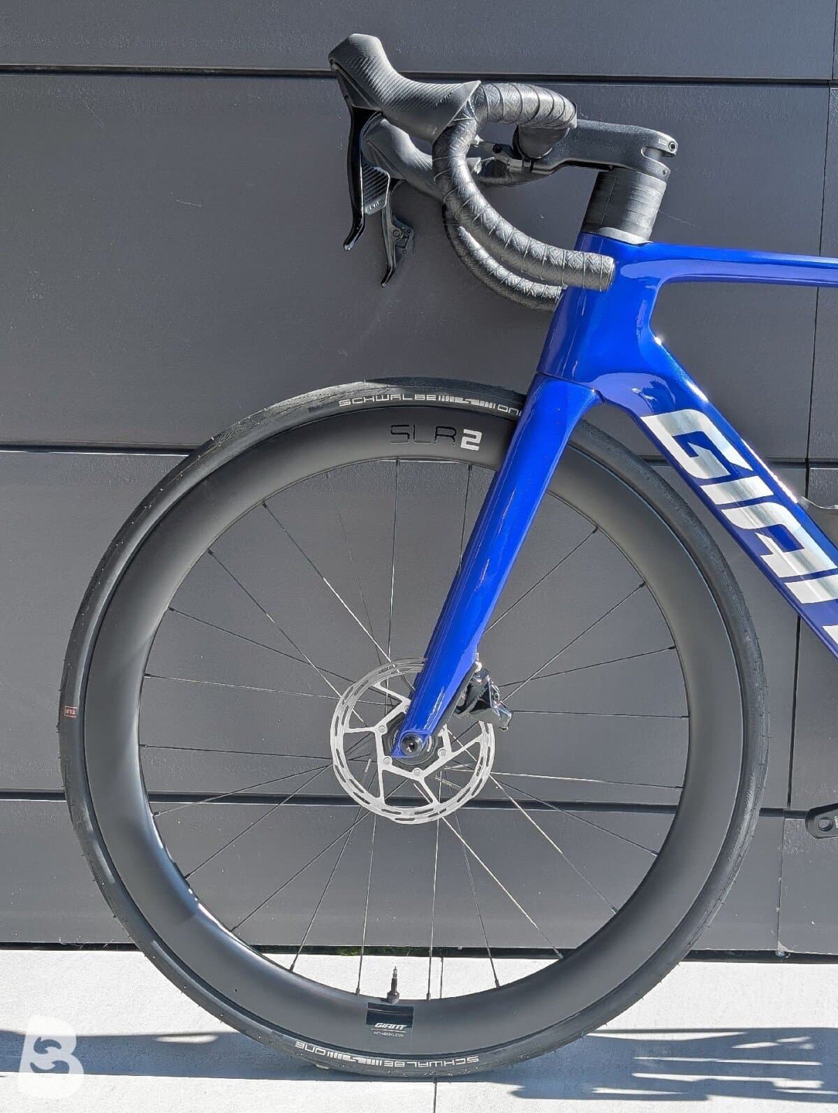 Giant Propel, Advanced 1 2024