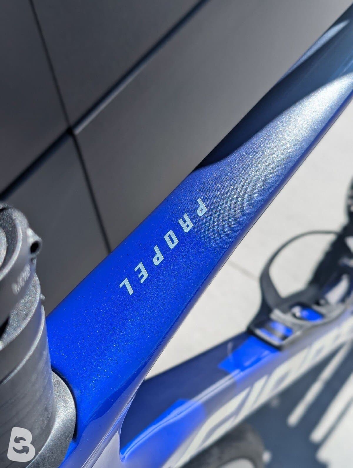 Giant Propel, Advanced 1 2024