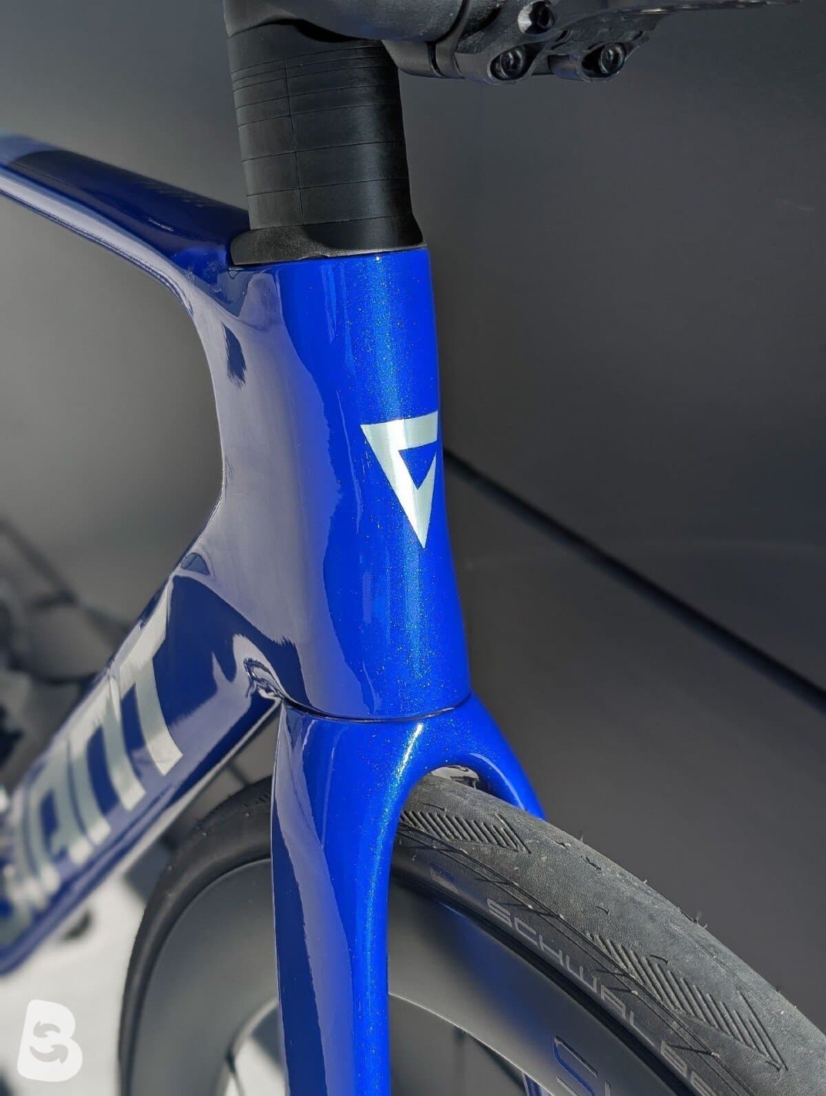 Giant Propel, Advanced 1 2024