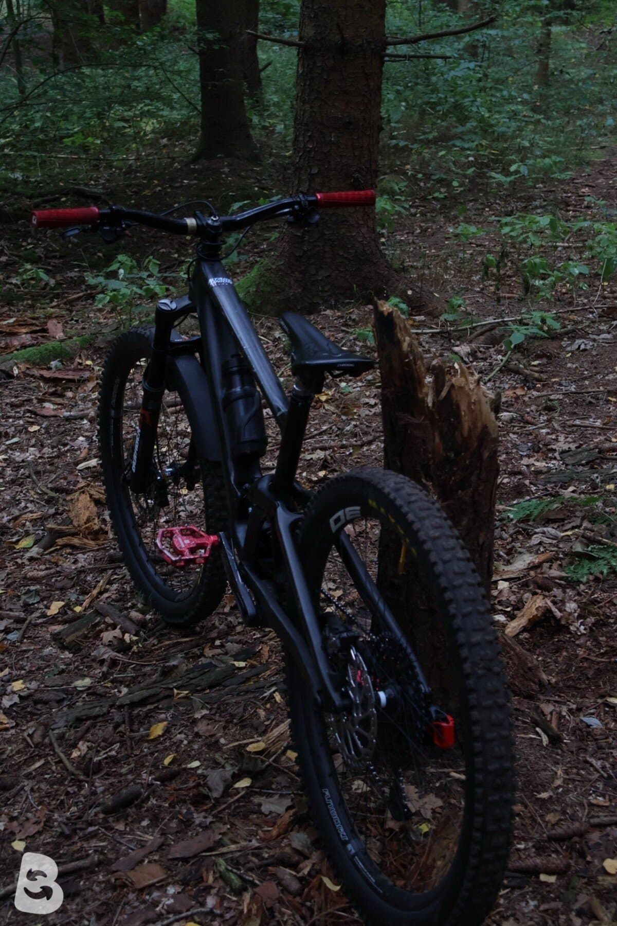 Specialized Enduro Comp 2021