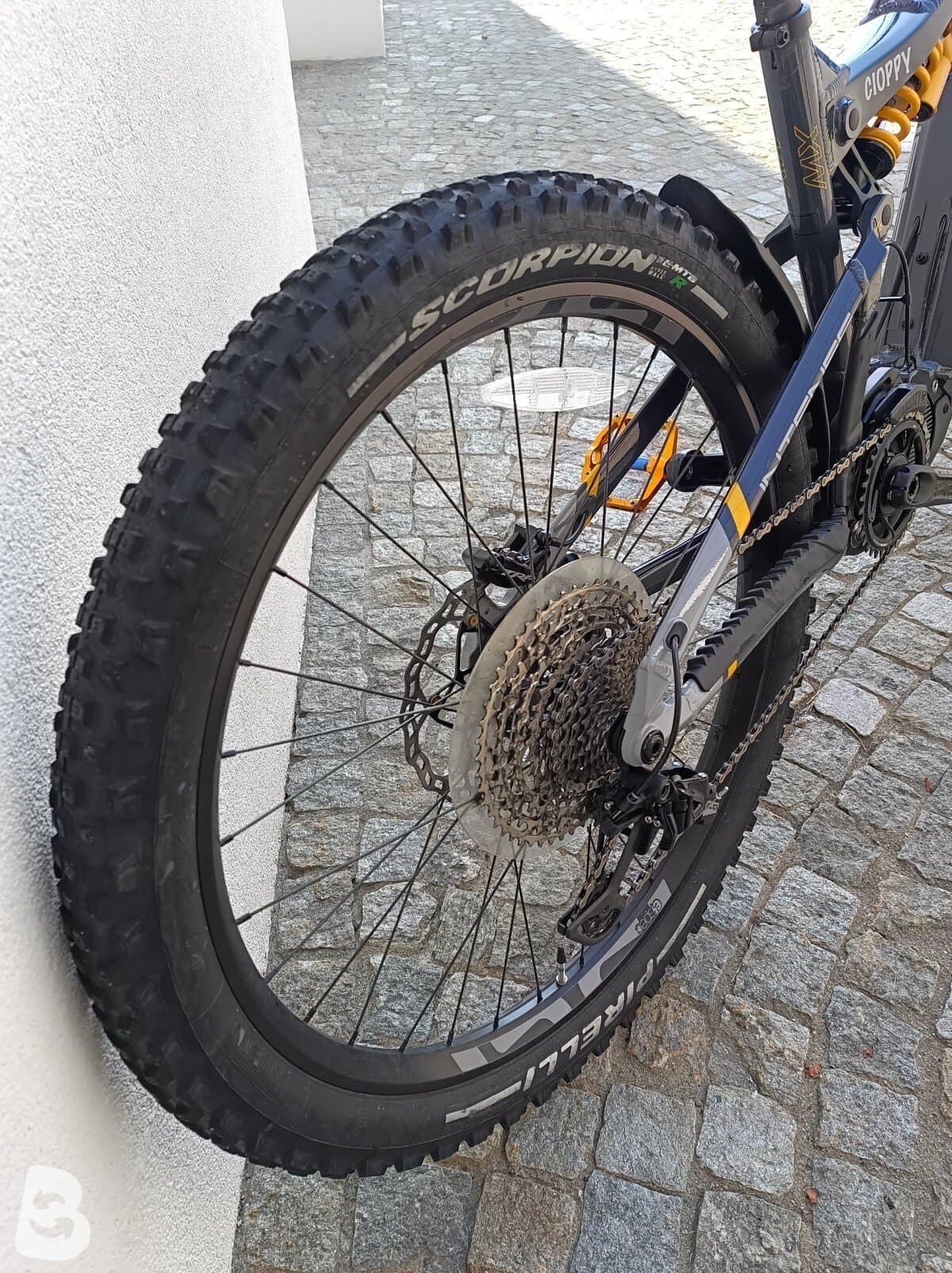 Intense Tazer MX Alloy Pro 2024