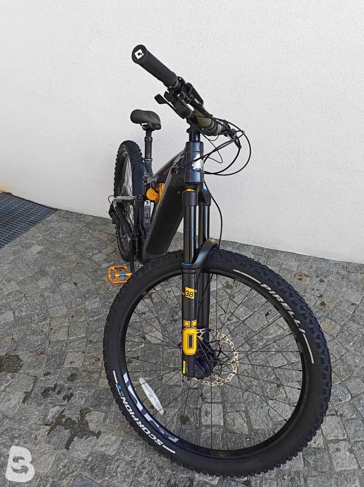 Intense Tazer MX Alloy Pro 2024