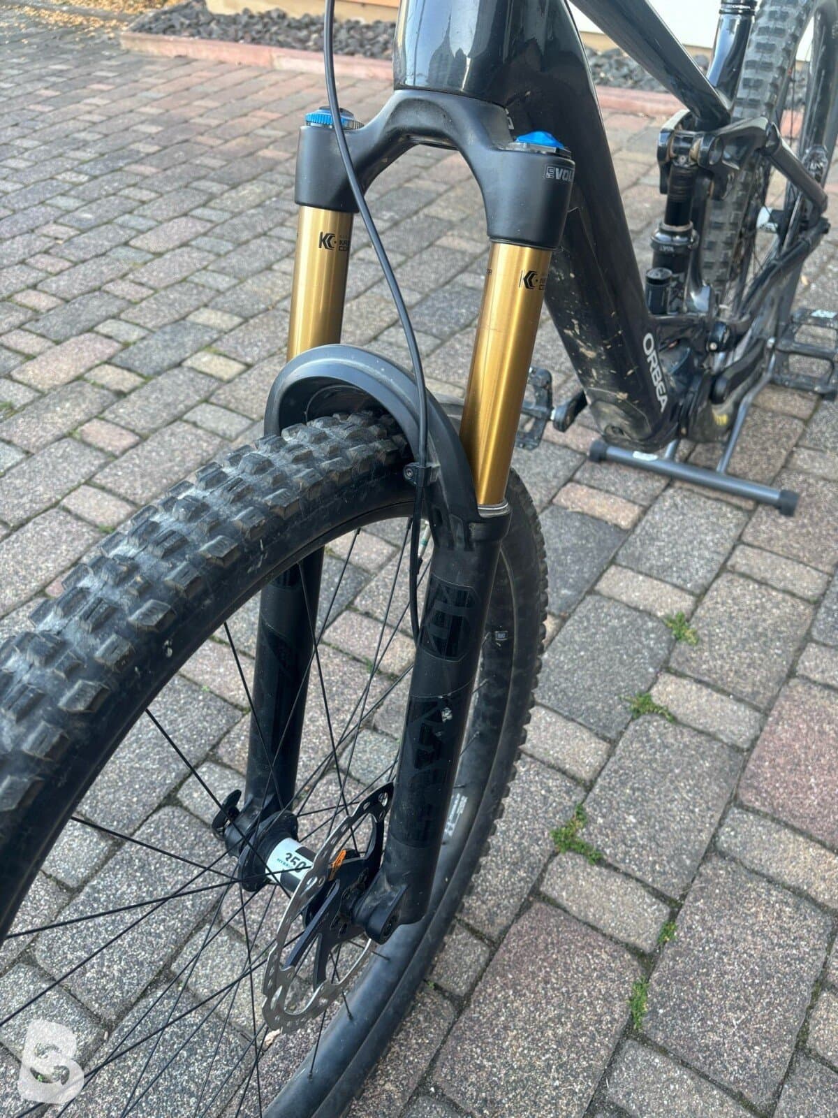 Orbea WILD H10 2024
