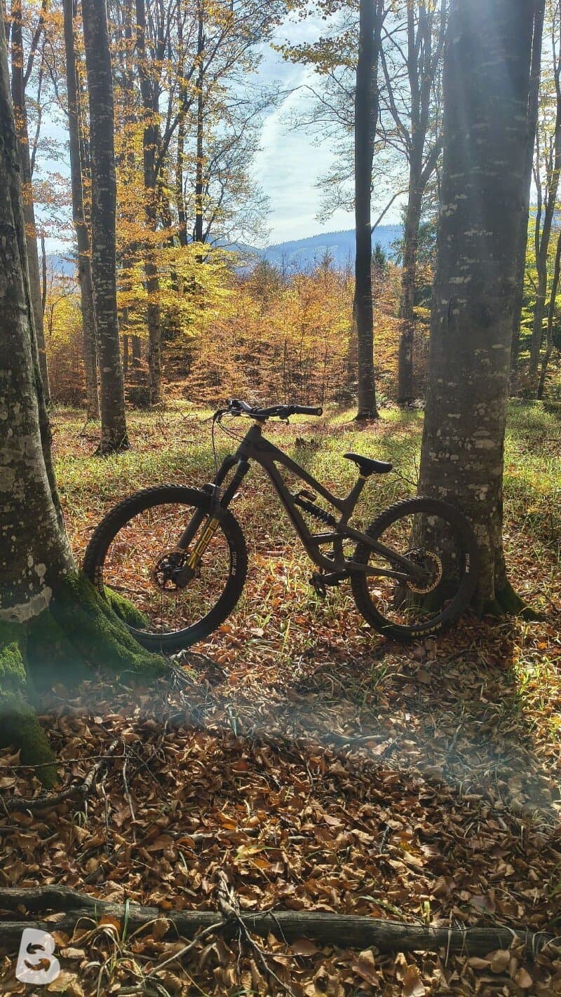 YT Industries Capra AL Base 2019