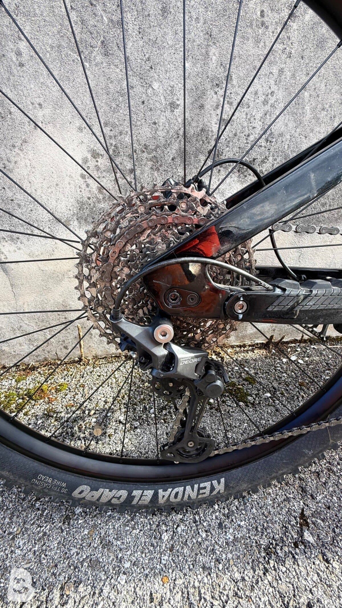 Fujita Full carbo 29 2024