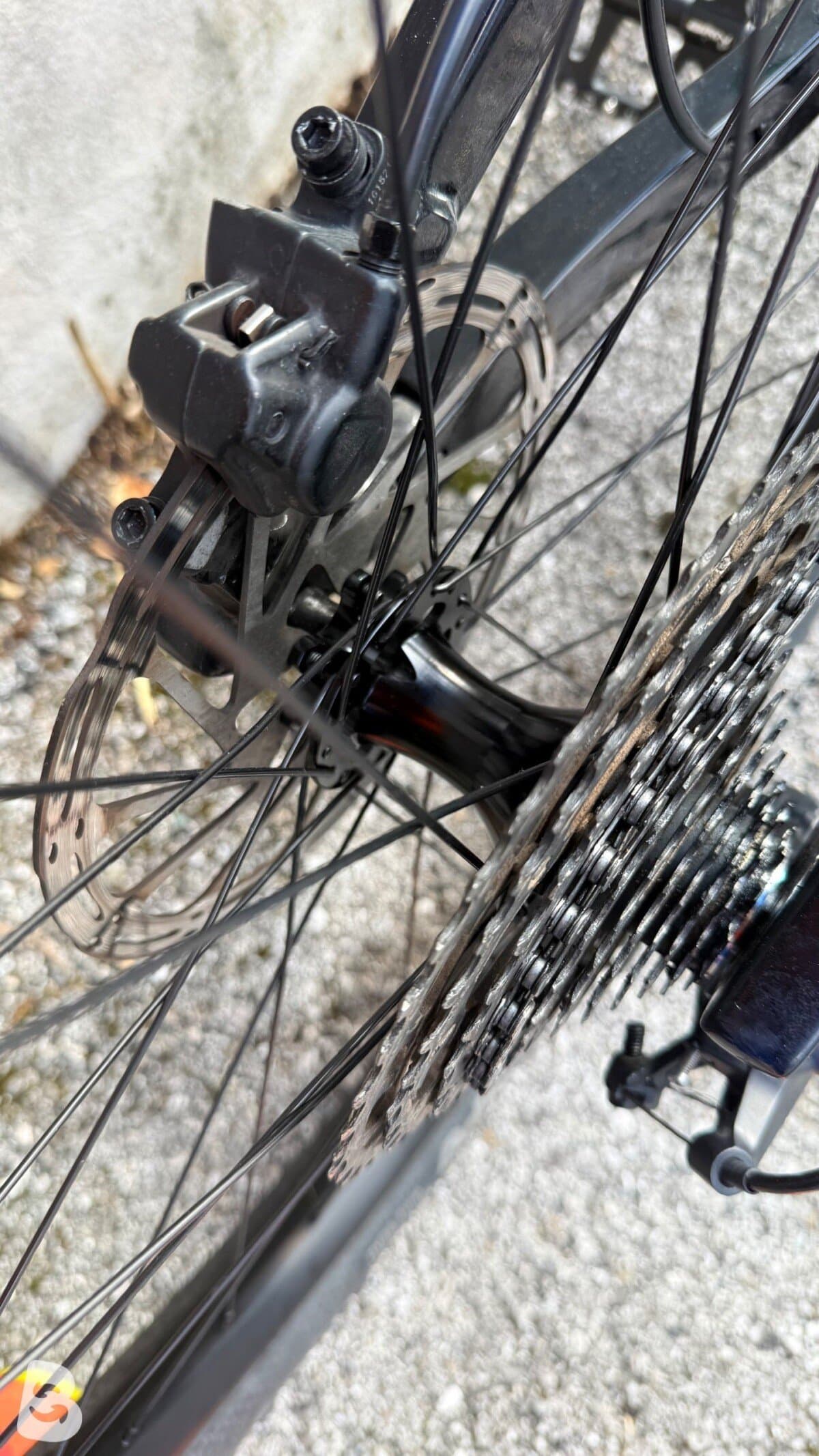 Fujita Full carbo 29 2024