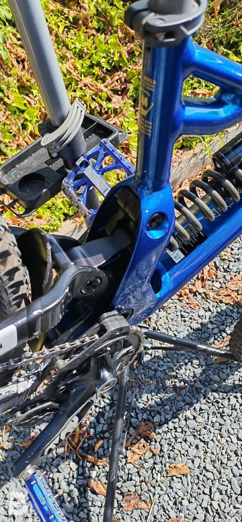 Bergamont Straitline 7 2020