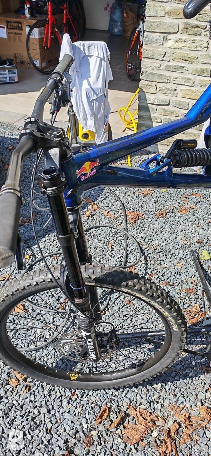 Bergamont Straitline 7 2020