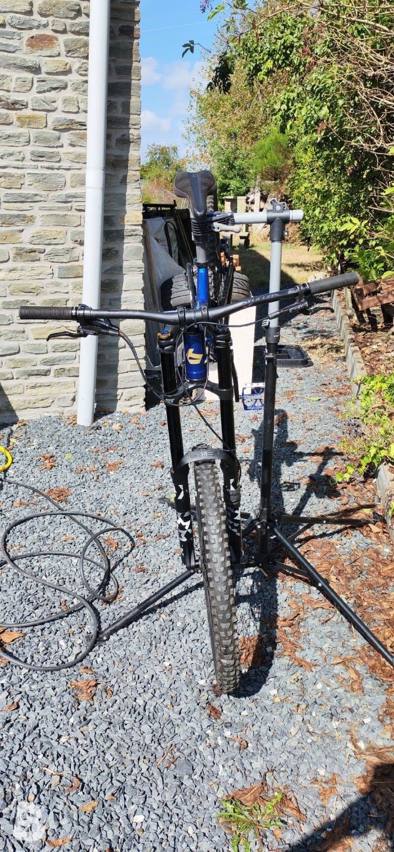 Bergamont Straitline 7 2020