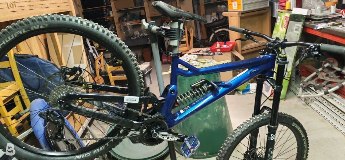 Bergamont Straitline 7 2020