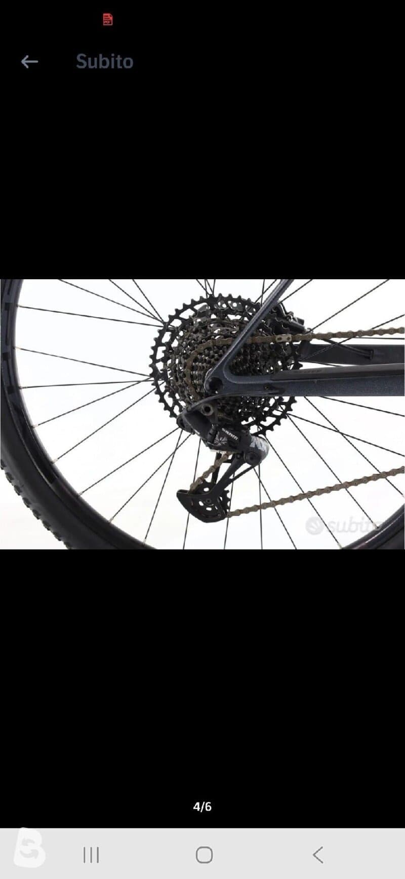 Scott L 2025