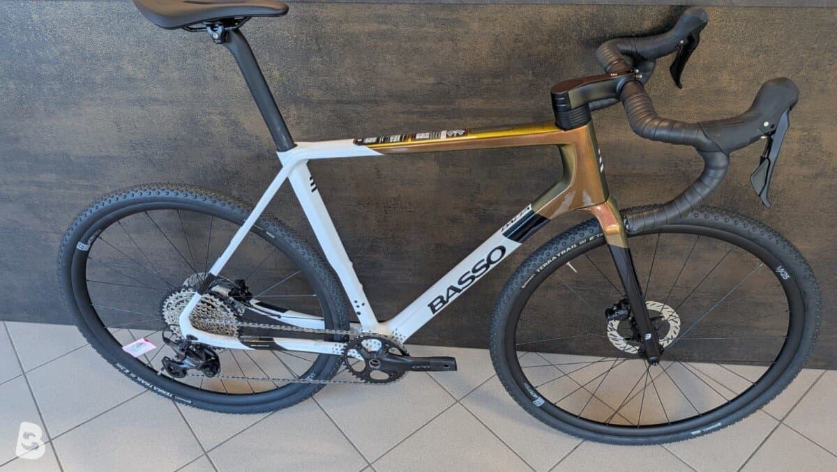 Basso Palta 2 2026