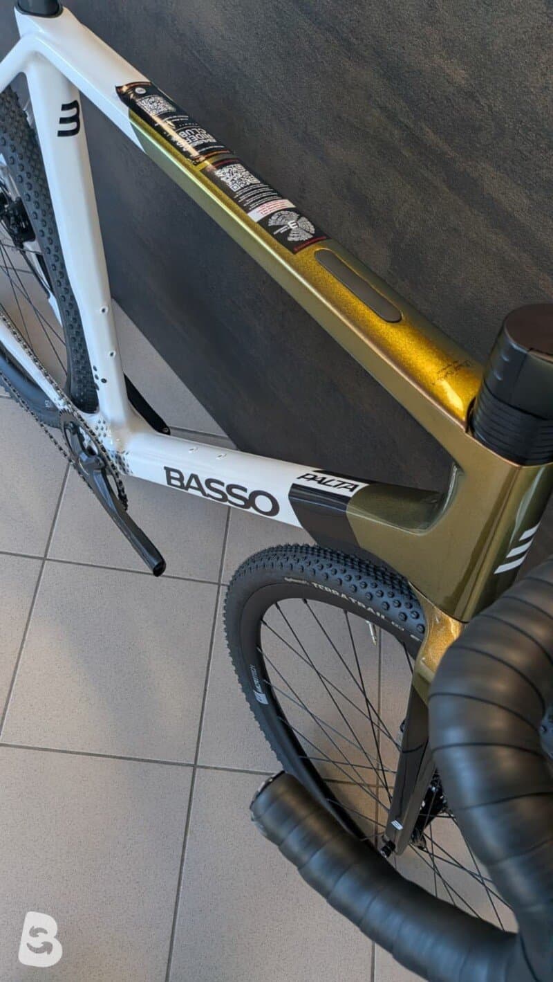 Basso Palta 2 2026