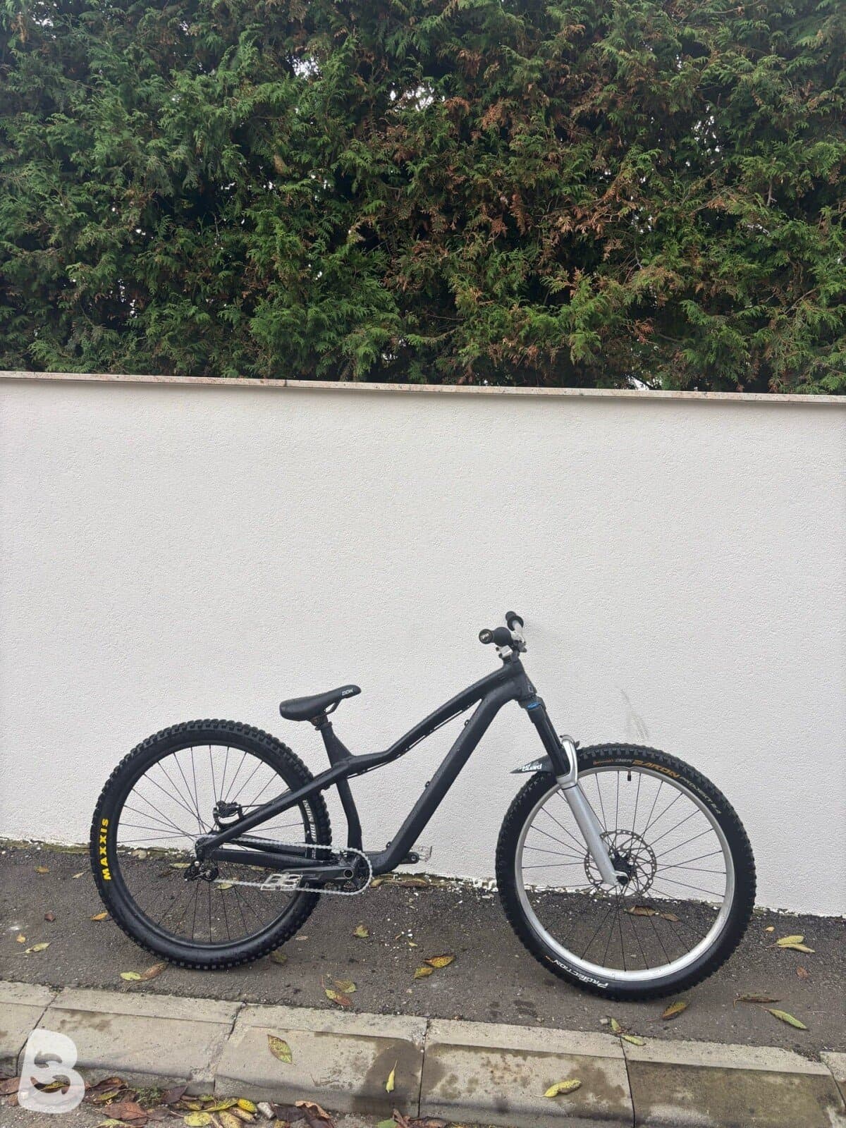 Dartmoor Hornet Pro 2021