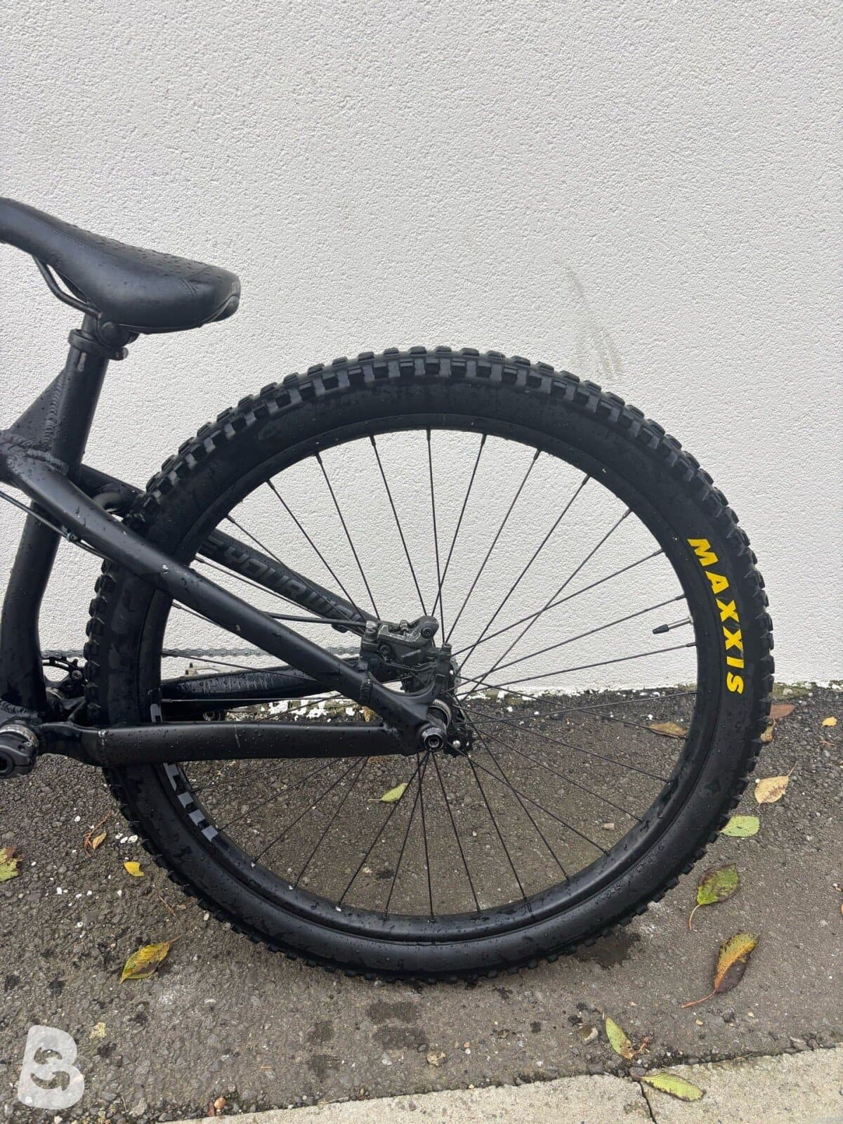 Dartmoor Hornet Pro 2021