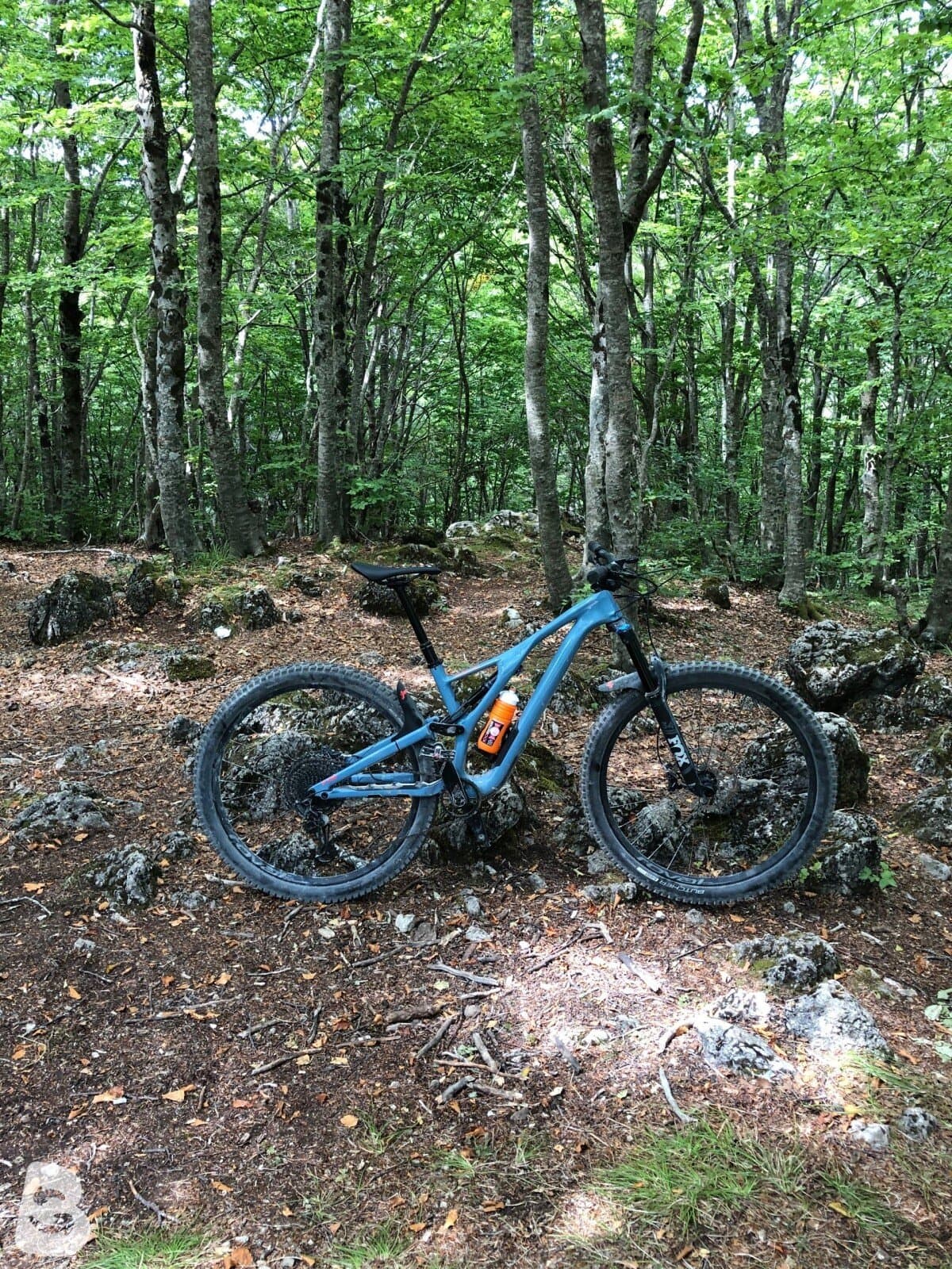 Specialized Stumpjumper Comp Carbon 2020
