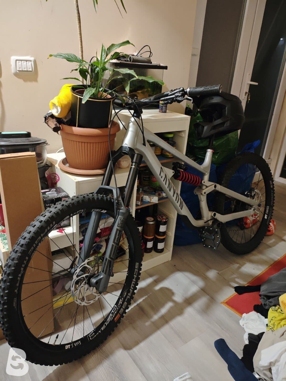 Canyon Torque AL 6.0 2024